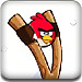 愤怒的小鸟HD1.2选关版